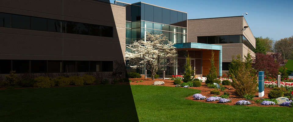Medfield Landscapers