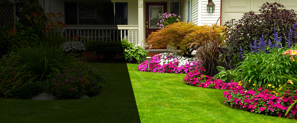 Medfield Landscapers