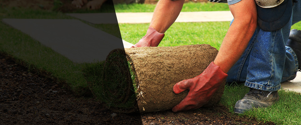 Medfield Landscapers